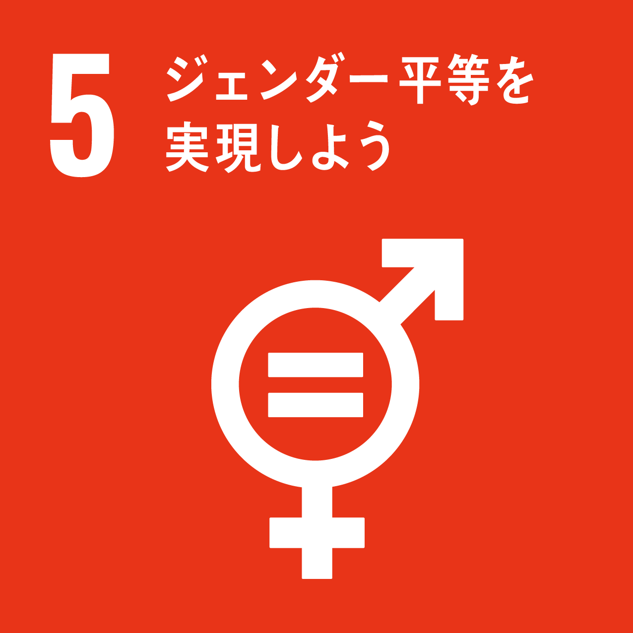 5 GENDER EQUALITY